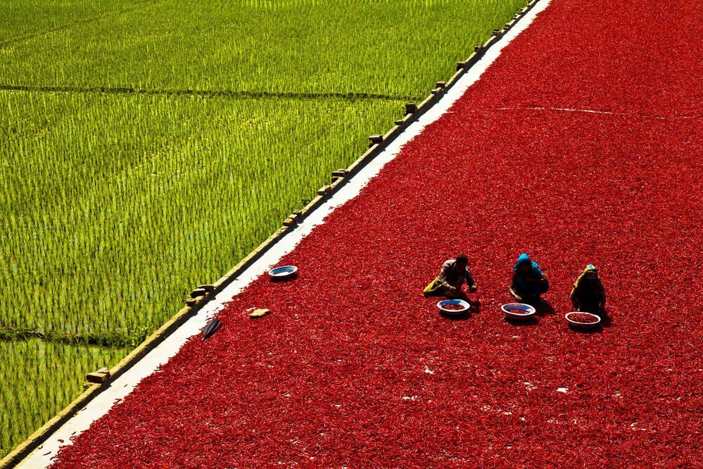 Photograph by Md Shamsul Haque Suza