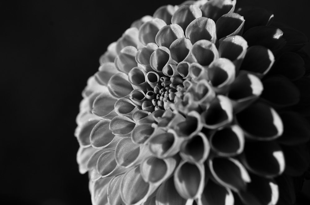 Фотография автора Ohashi Hironobu