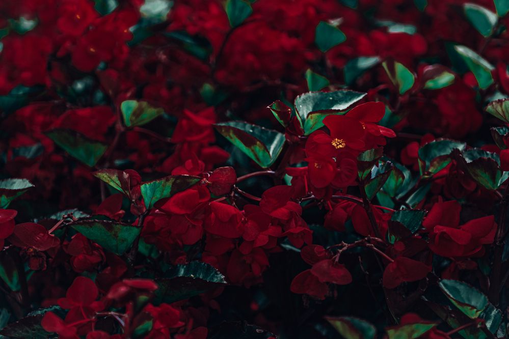 Photograph by Павел Ващилов