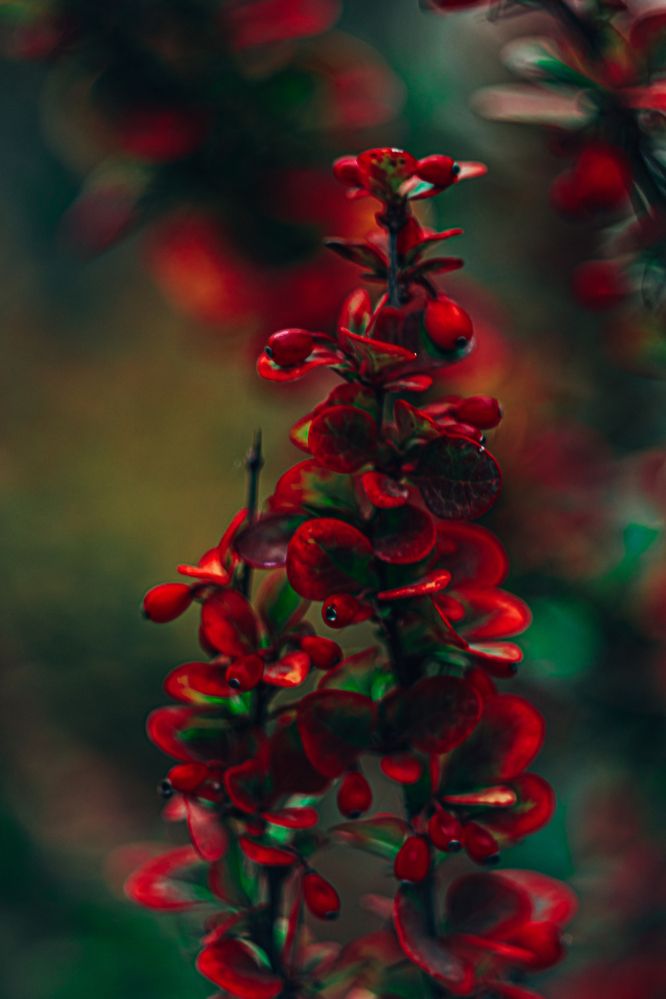 Photograph by Павел Ващилов