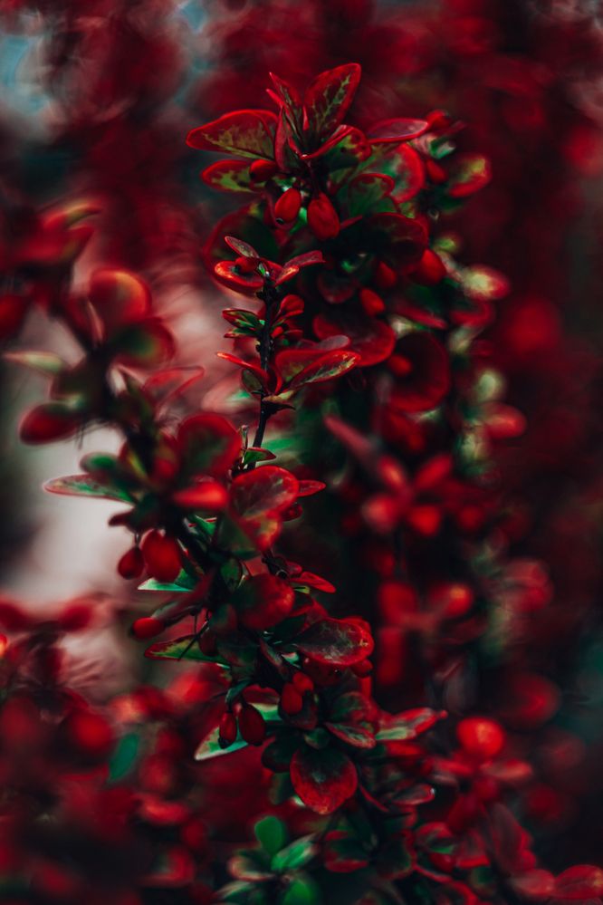 Photograph by Павел Ващилов