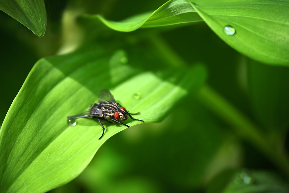 Photograph by Марина Никифорова