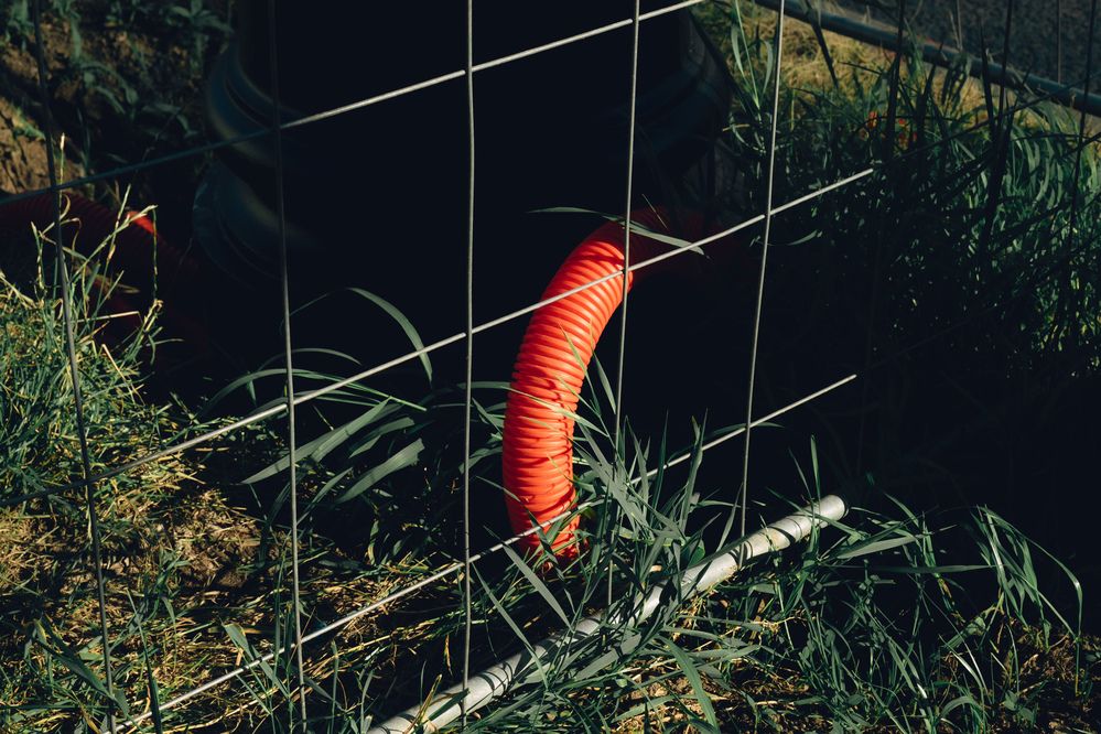 Photograph by Харламов Павел