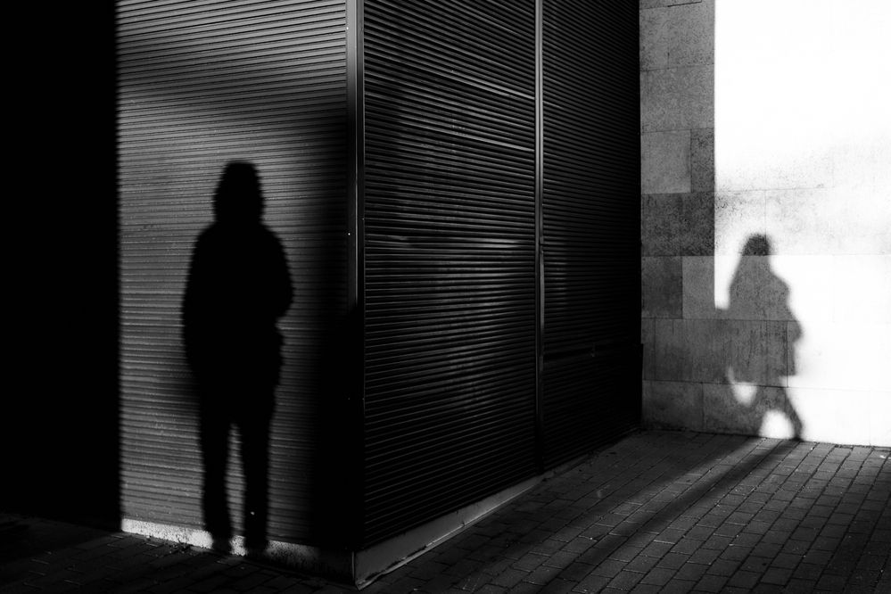 Фотография автора Nikolay Surovtsev