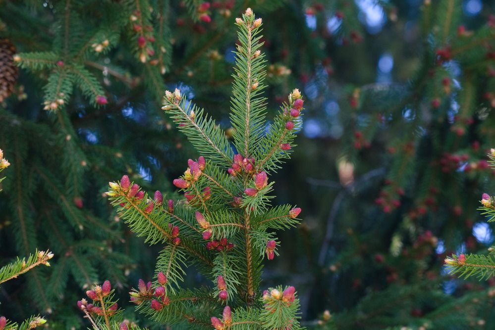 Photograph by Ольга Якубова