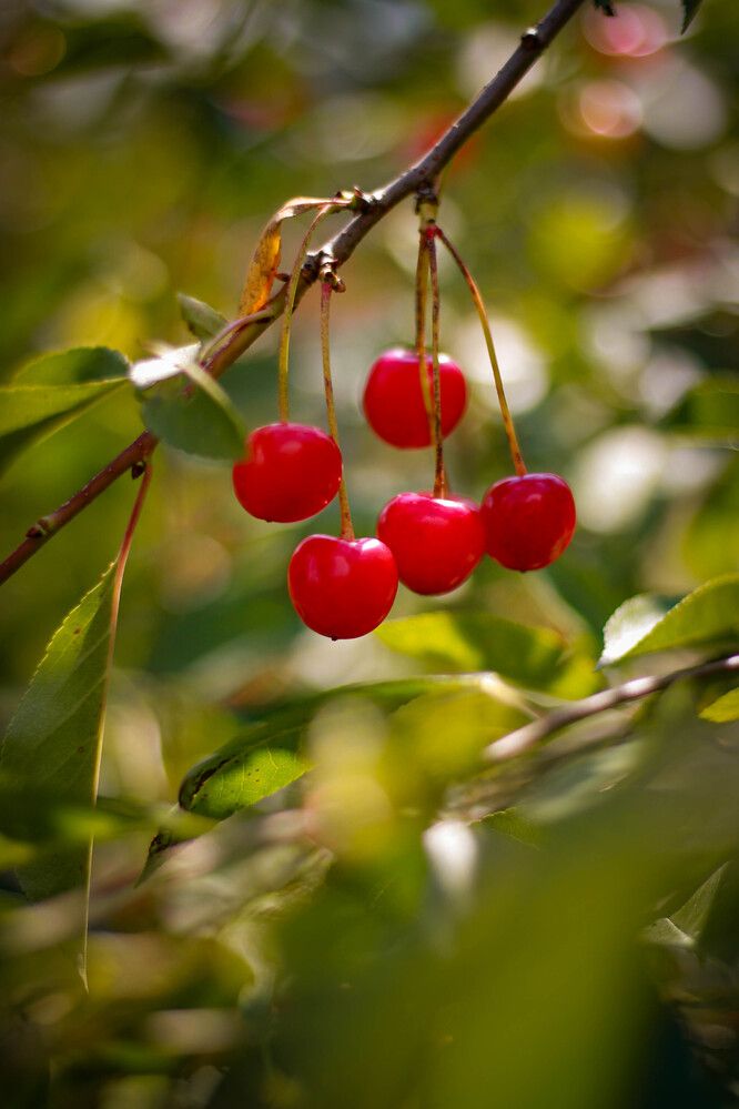 Photograph by Любовь Иванова