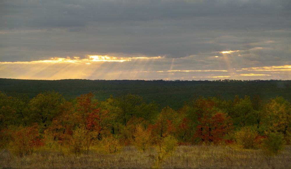 Photograph by АЛЛА ТАРАСЕНКО