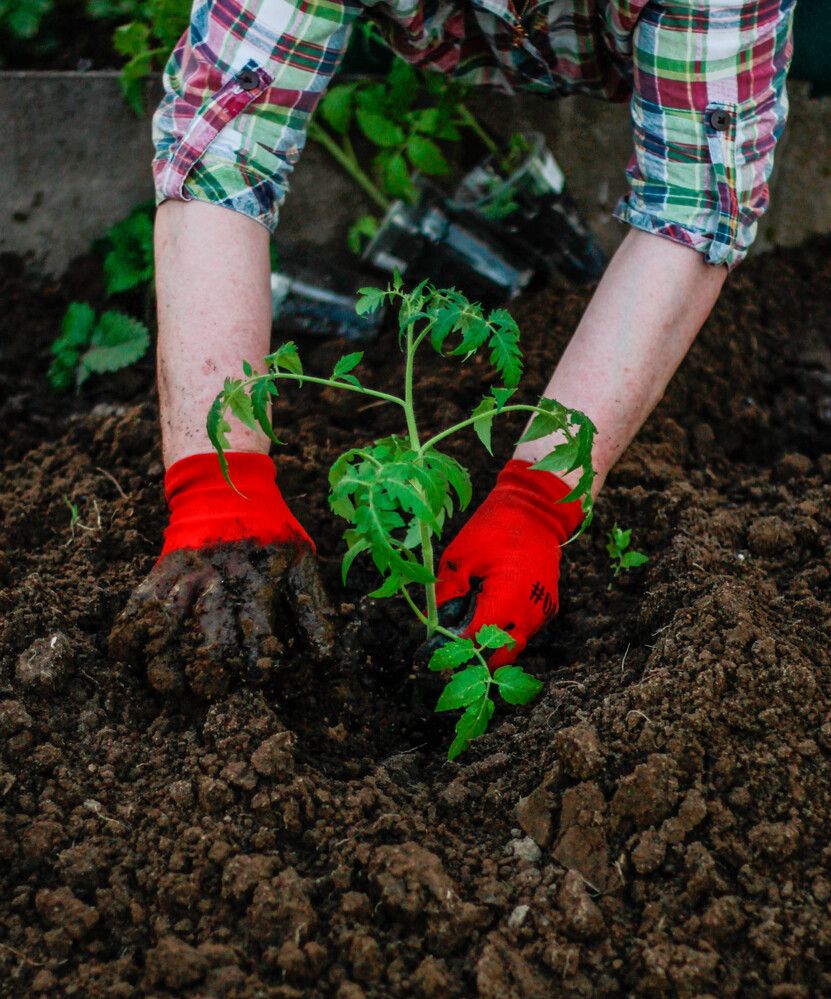 Photograph by Любовь Иванова