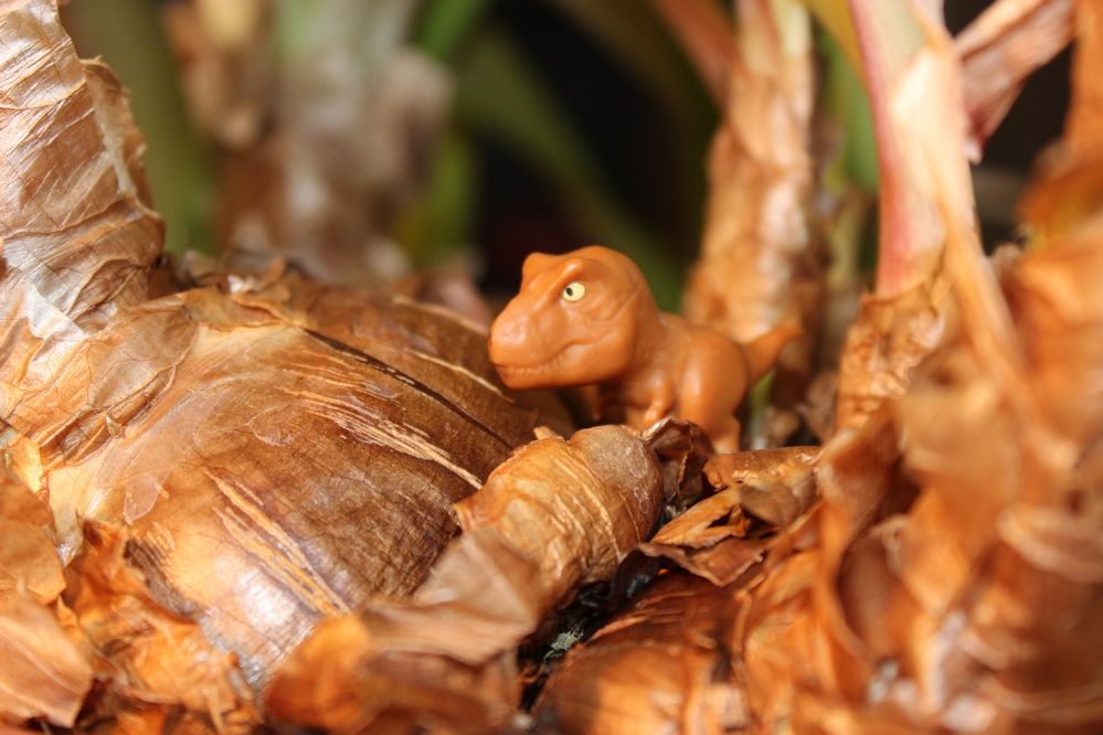 Photograph by Ольга Нистеренко