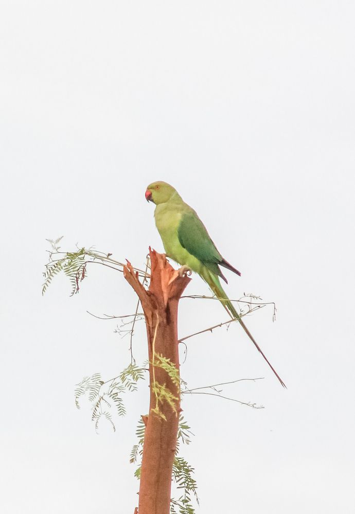 Photograph by Waleed Yousuf Alwahaibi