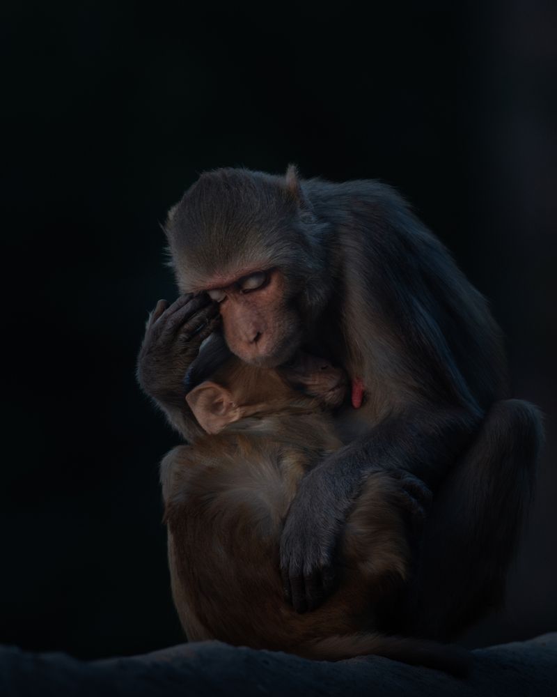 Photograph by Prabhat Ghosh