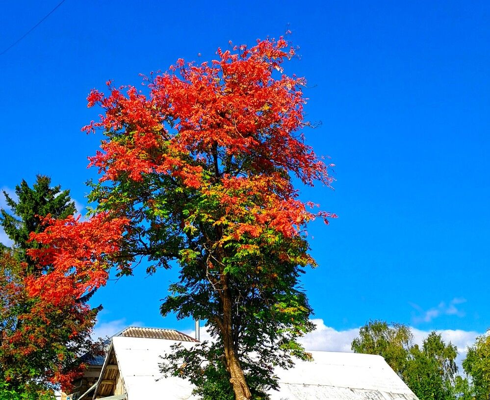 Photograph by Николай Худяков