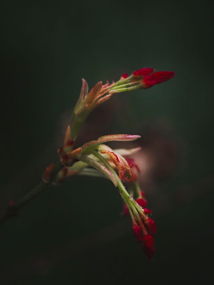 Photograph by Александра Шилова