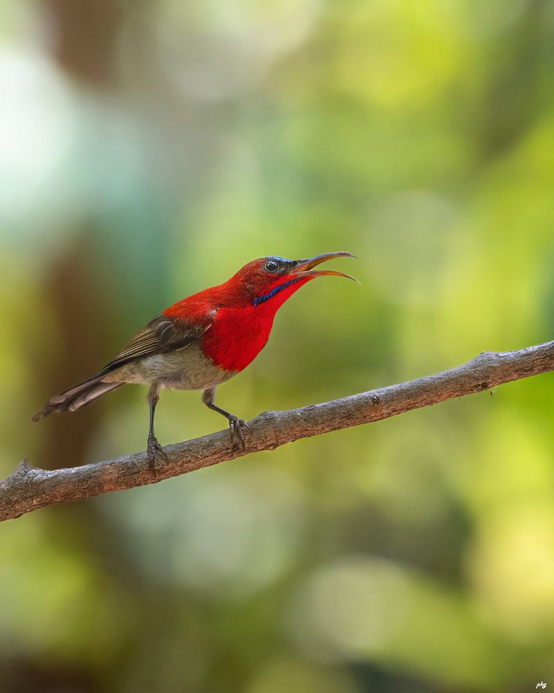 Photograph by Prabhat Ghosh