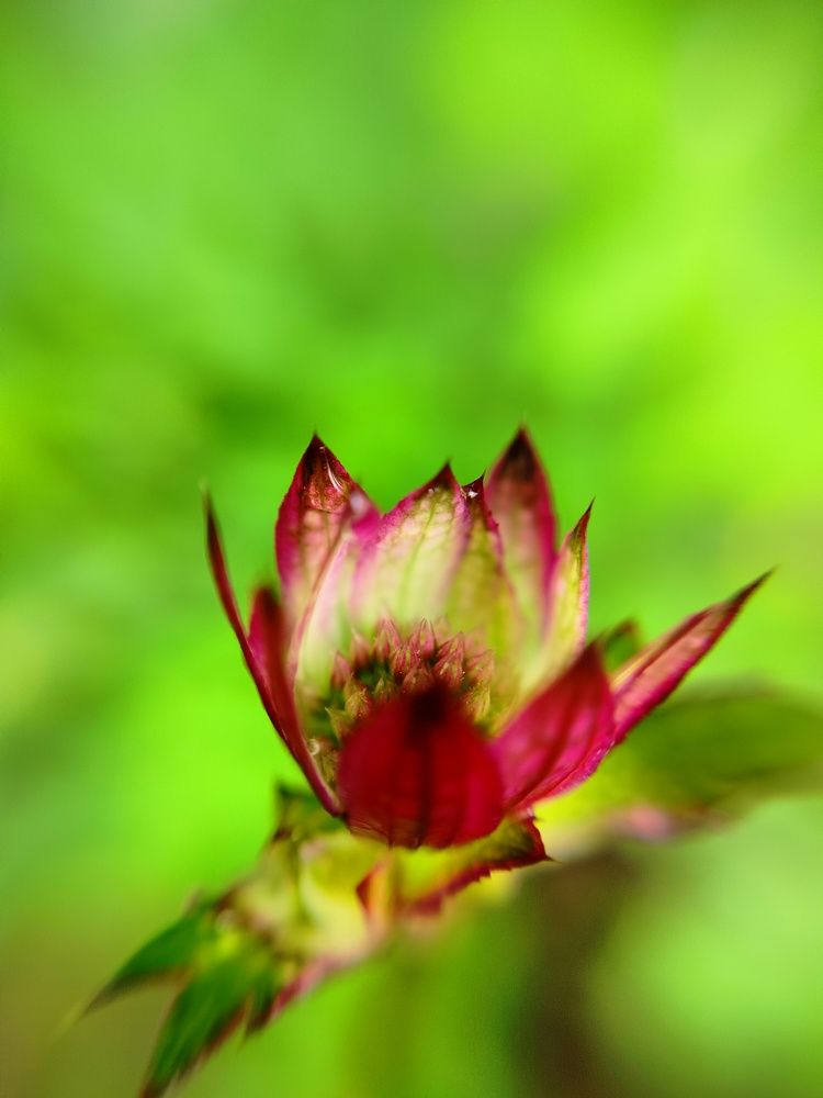 Photograph by Анастасия Горбачева