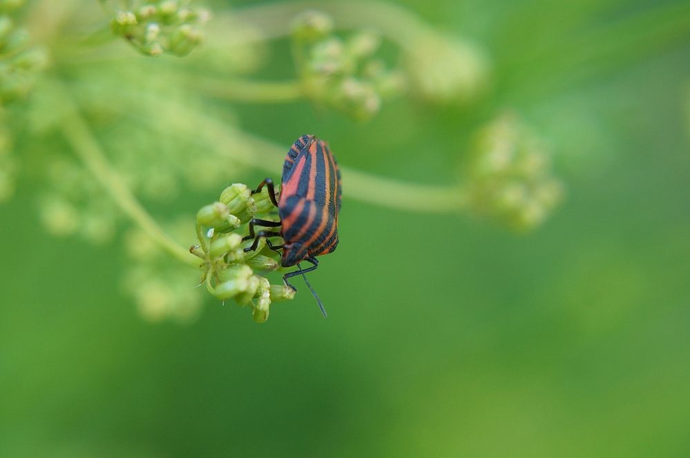 Photograph by Светлана Логинова