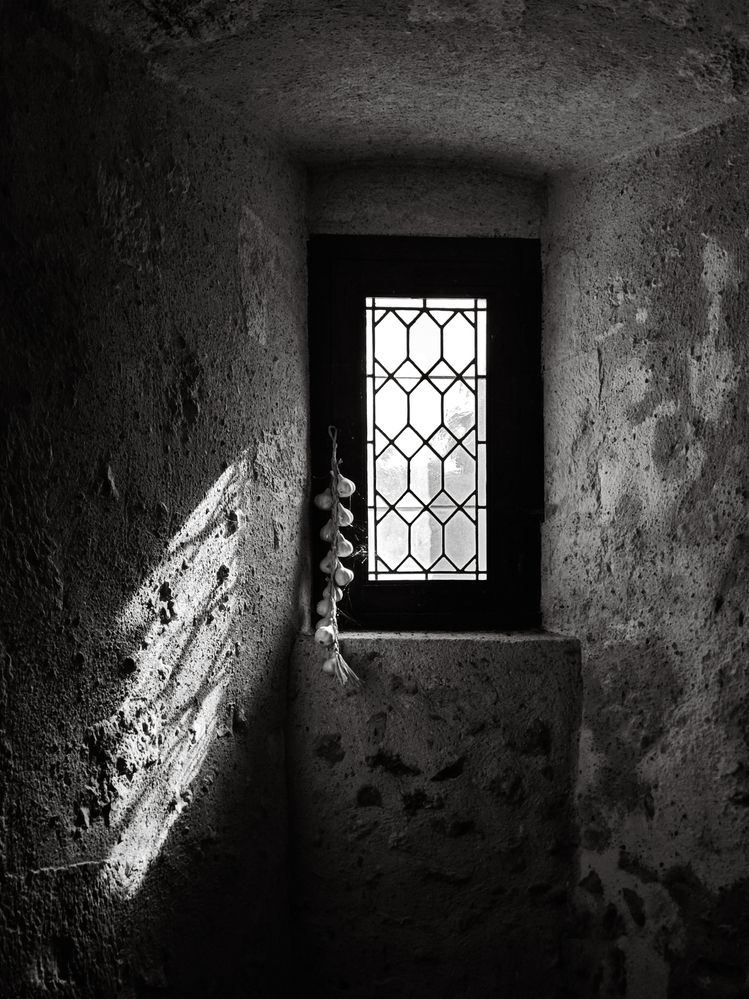 Photograph by Александра Шилова