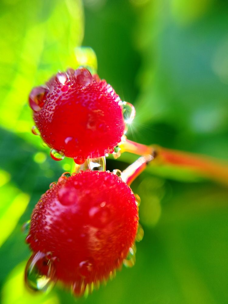 Photograph by Анастасия Горбачева
