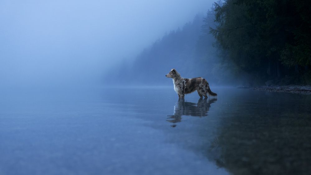Photograph by Daniela Schmid