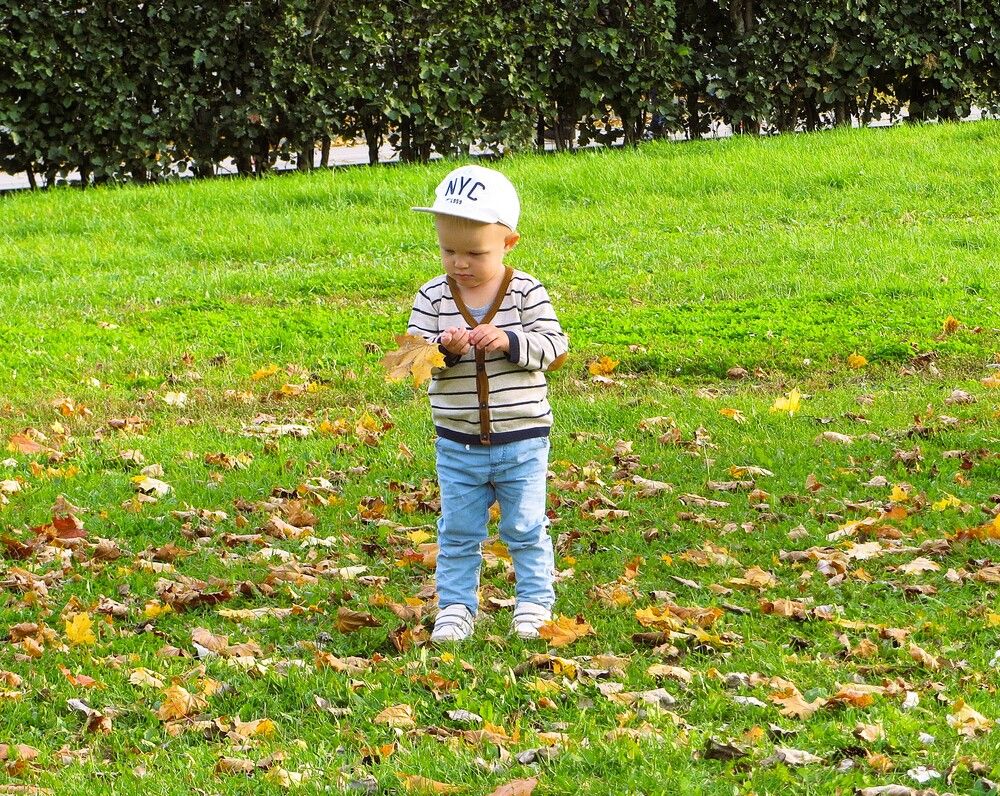 Интересный листочек