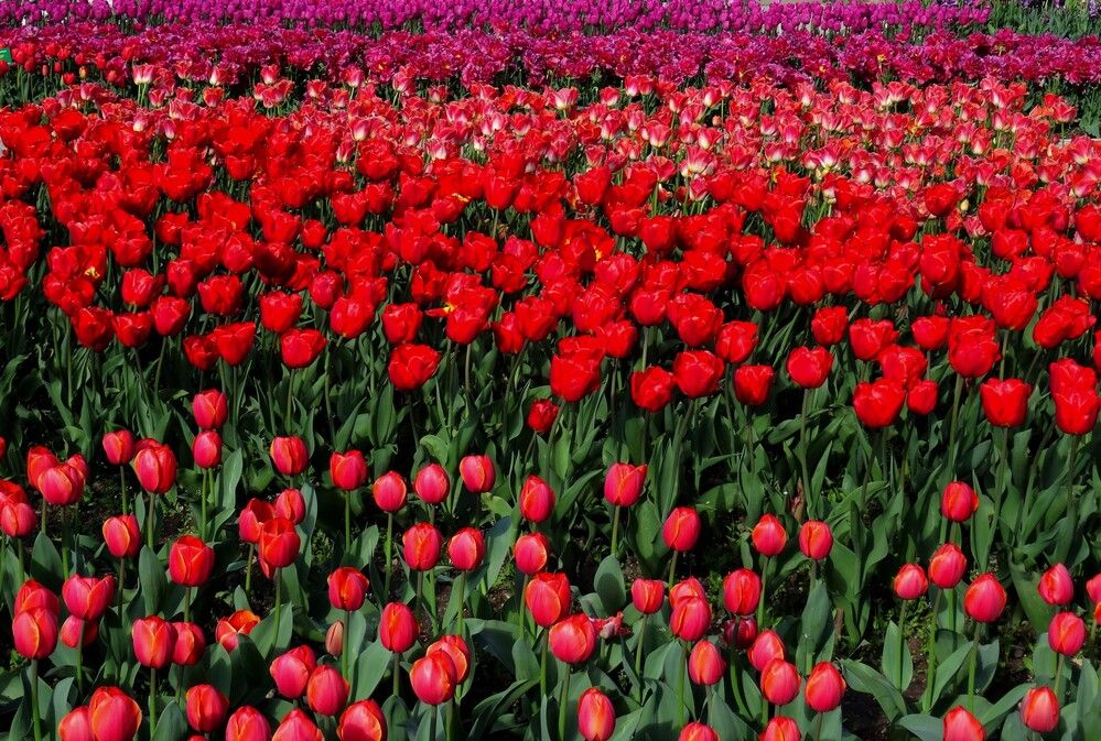 Photograph by Марина Раткун