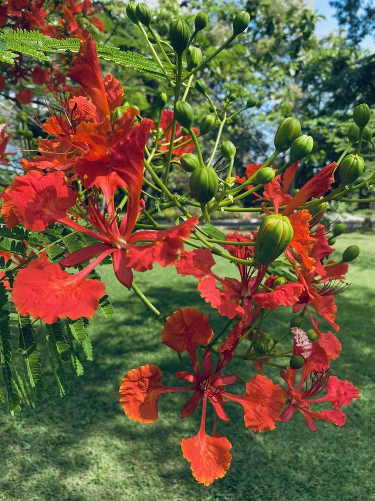 Photograph by Naveena Wimalarathne