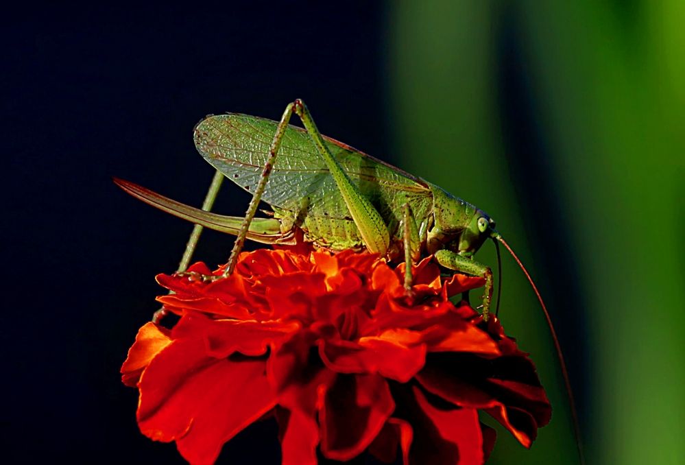 Photograph by Татьяна Слесарева