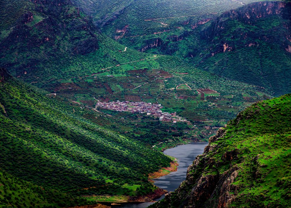 Photograph by Aref fathi