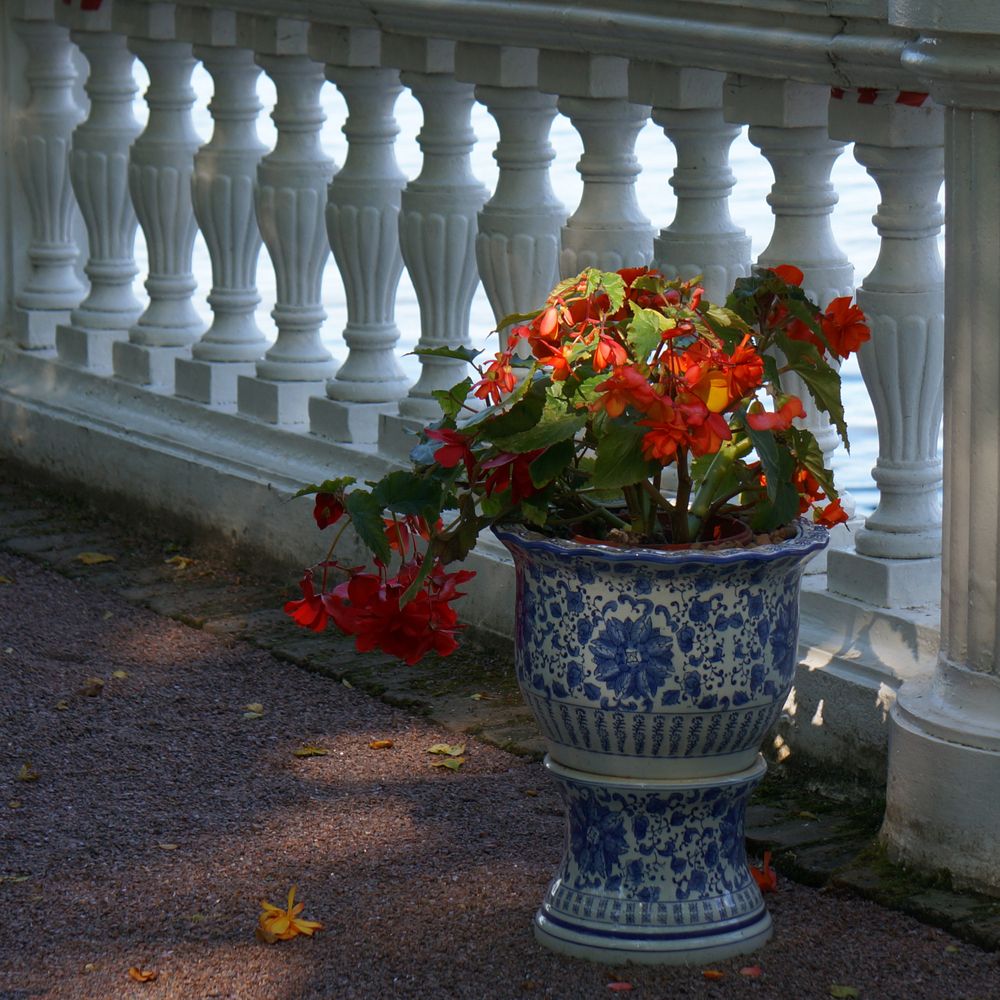 Photograph by Блюмина Елена