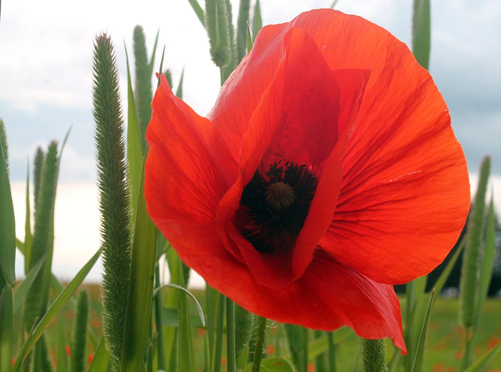 Photograph by Кирилл Елесин