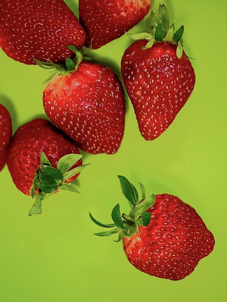 Photograph by _ Hironko_