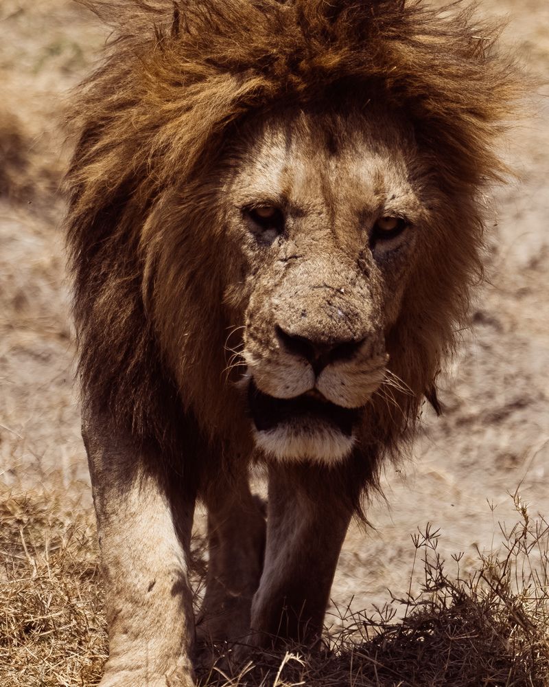 Photograph by EVGENII KOCHETKOV