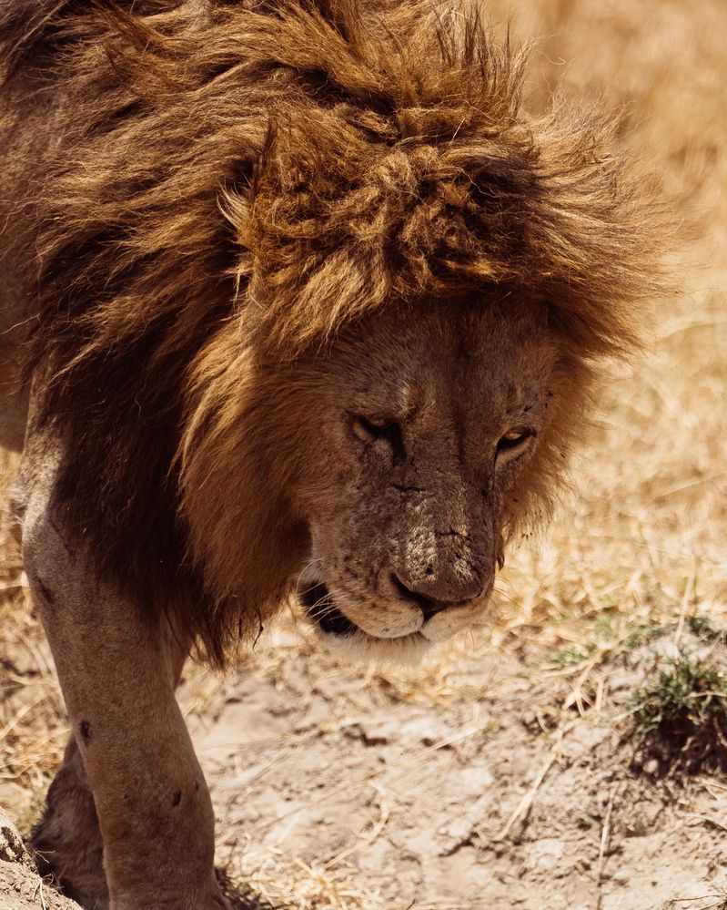 Photograph by EVGENII KOCHETKOV