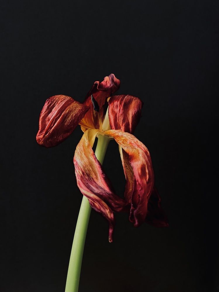 Photograph by Екатерина Кузнецова