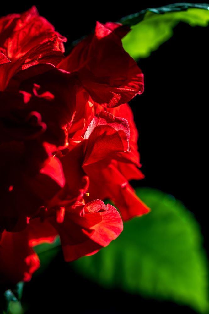 Photograph by Анастасия Сидранская