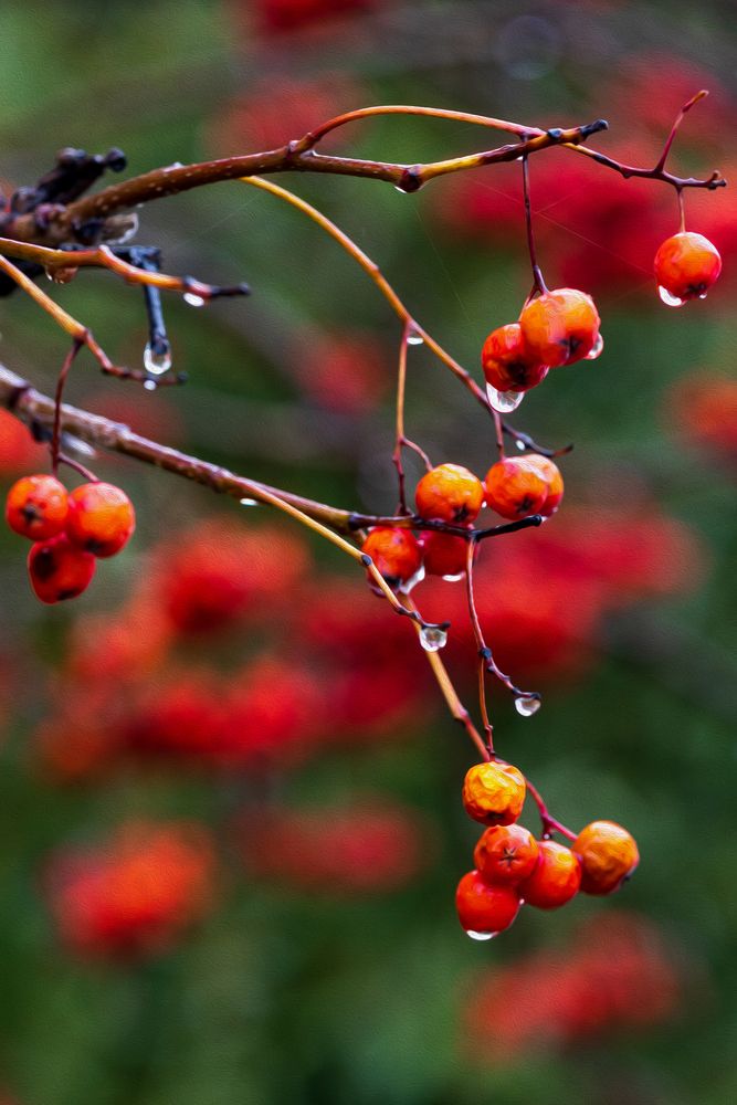 Photograph by Анастасия Сидранская