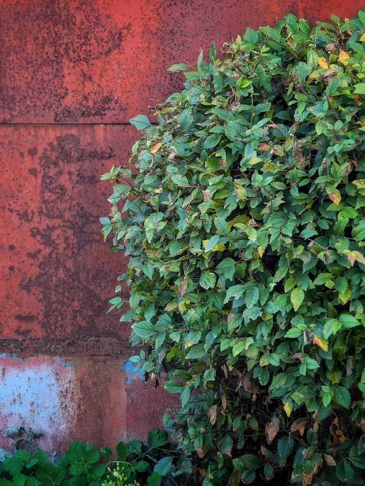 Photograph by AlexaL