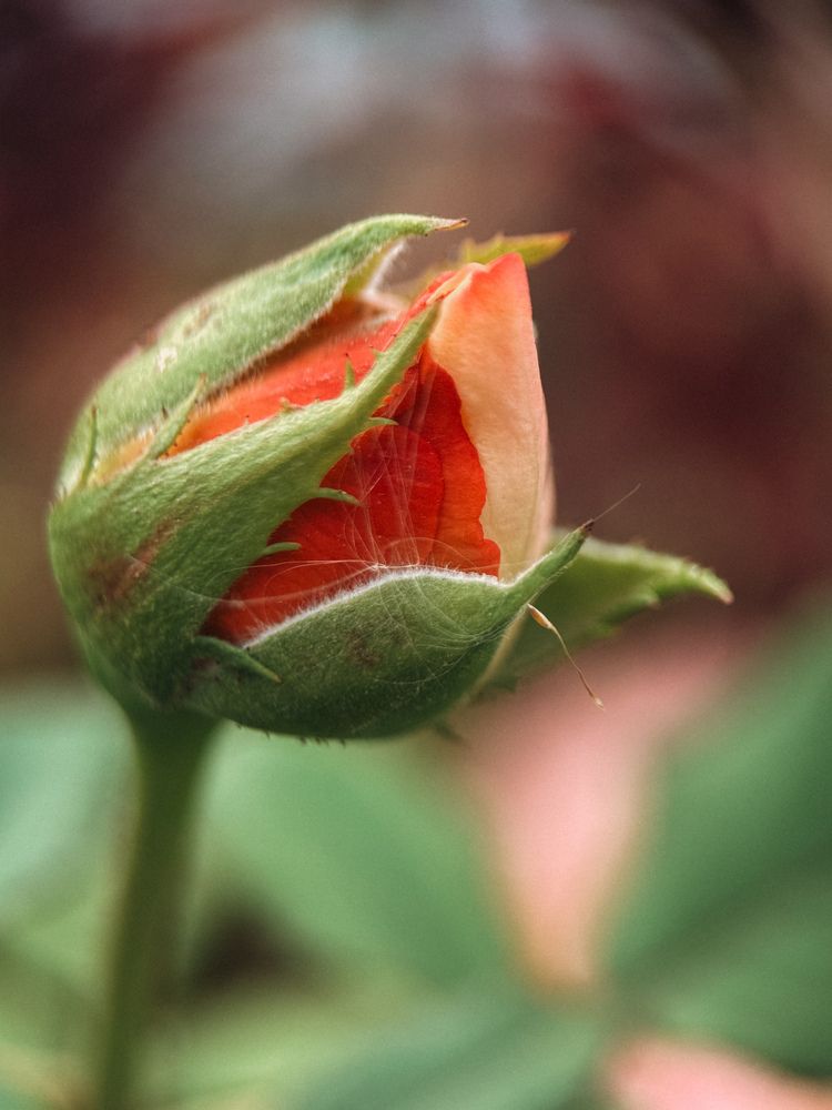 Фотография автора Мария