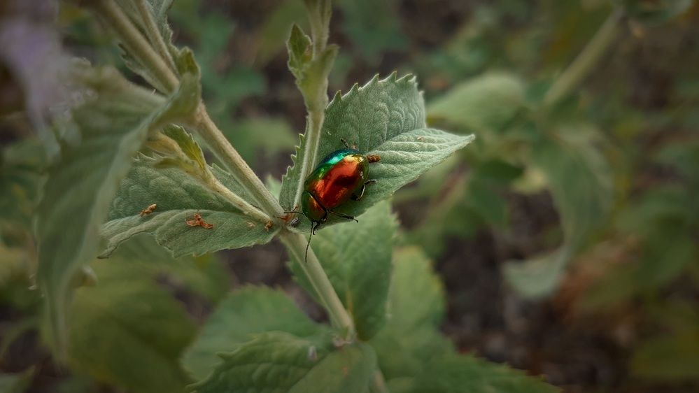 Photograph by Степан Макрушин