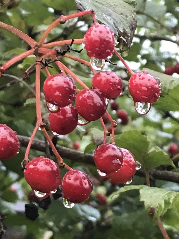 Photograph by Надежда Ткаченко