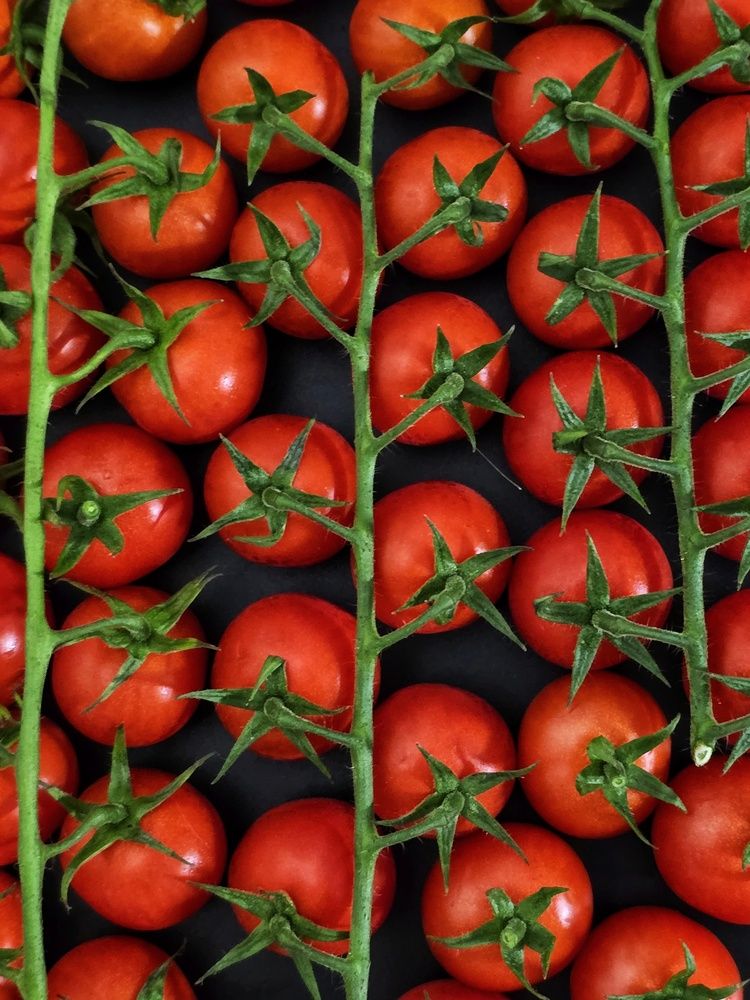 Photograph by Елена Ибрагимова