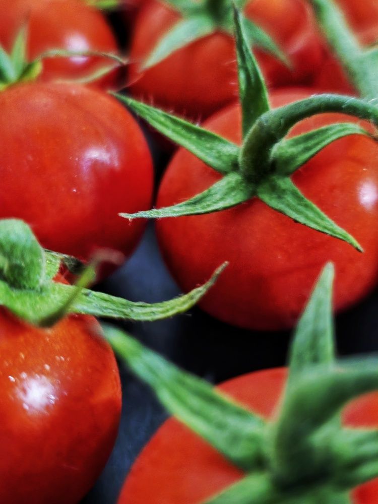 Photograph by Елена Ибрагимова