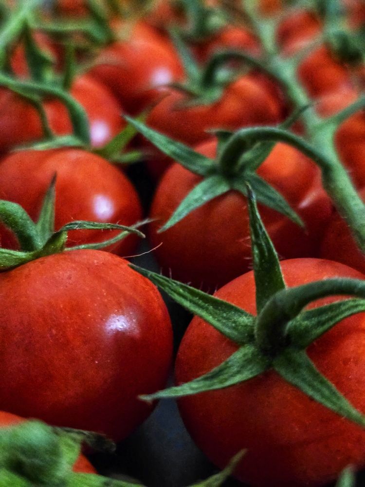 Photograph by Елена Ибрагимова