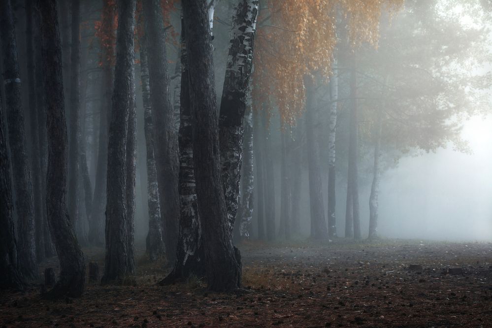 Photograph by Елена Соколова