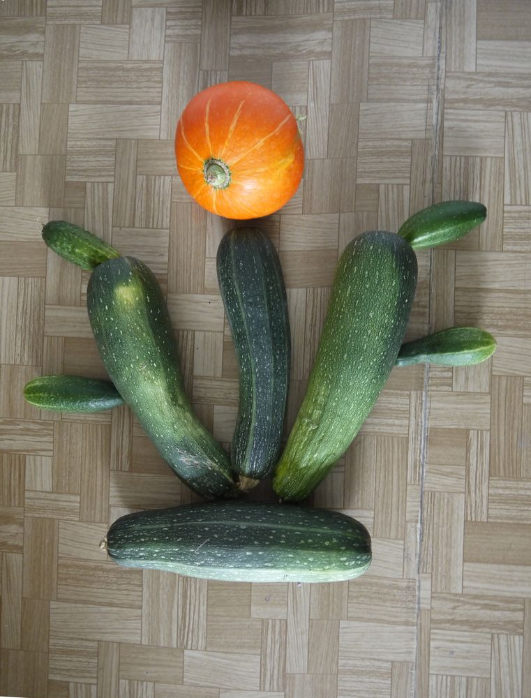 Фотография автора Клавдия Васильева