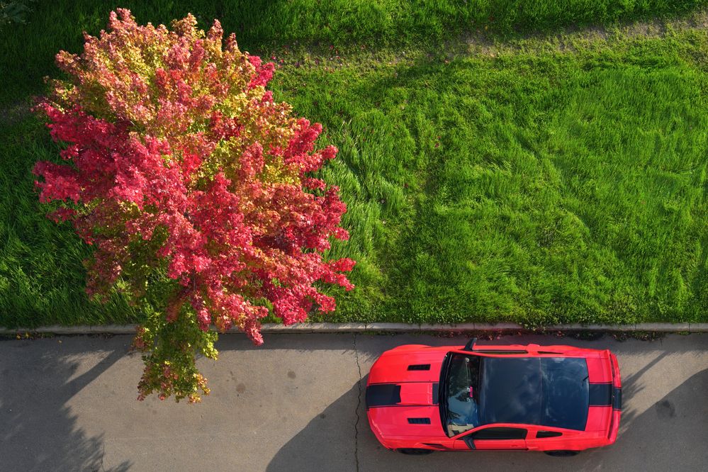 Photograph by Сергей Тихомиров