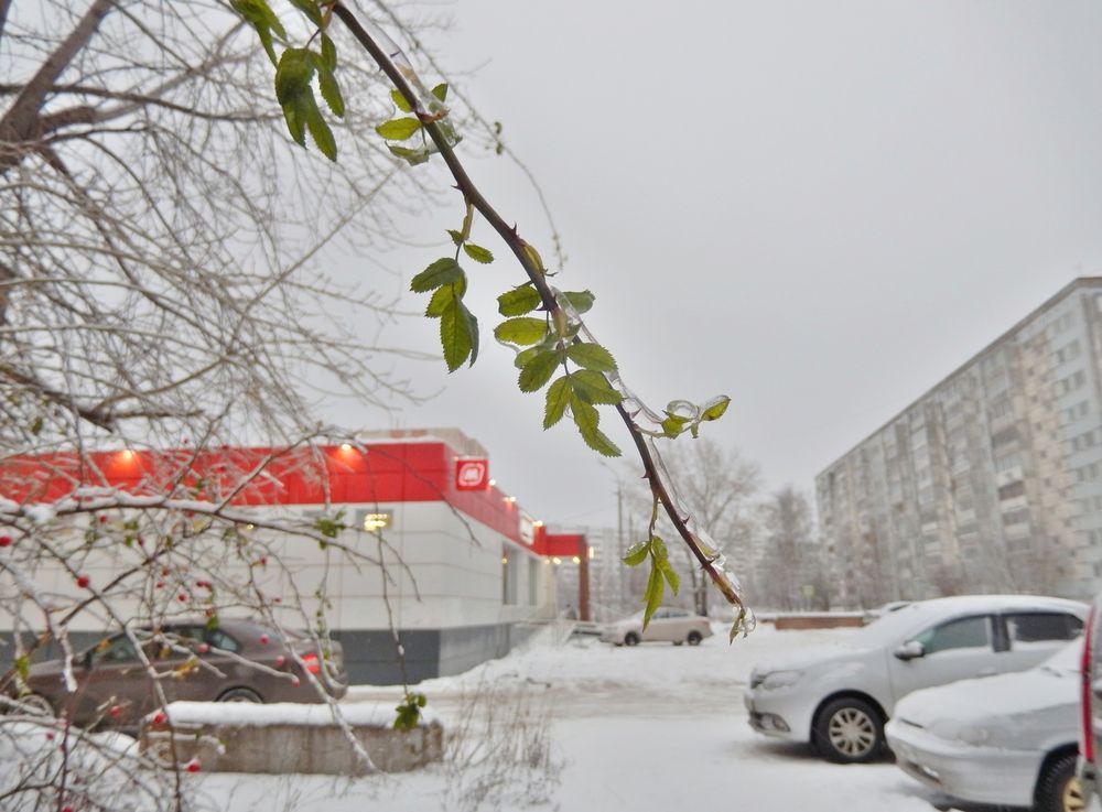 Фотография автора Клавдия Васильева