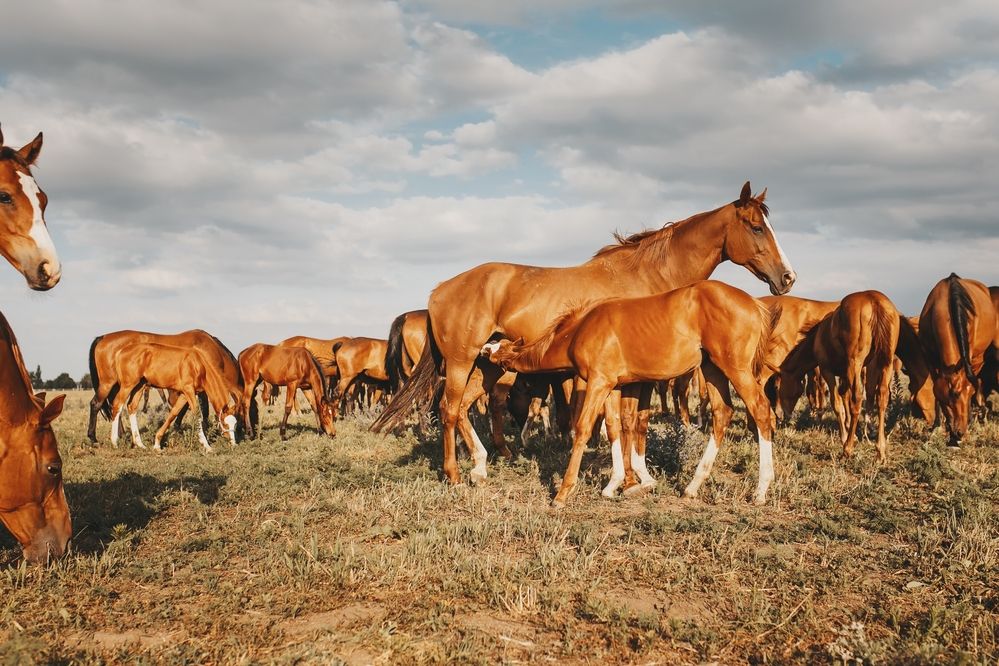 Photograph by Гергерт Вероника