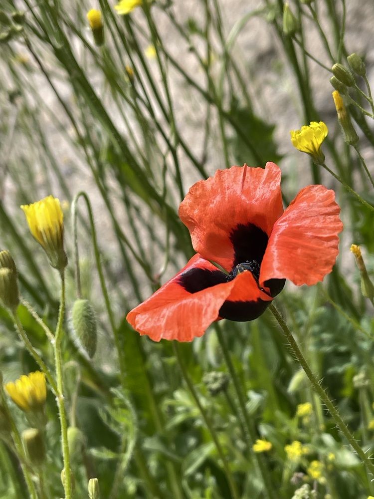 Photograph by Светлана Смук