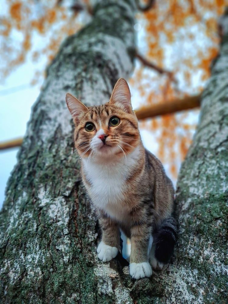 Photograph by Марина Мальцева